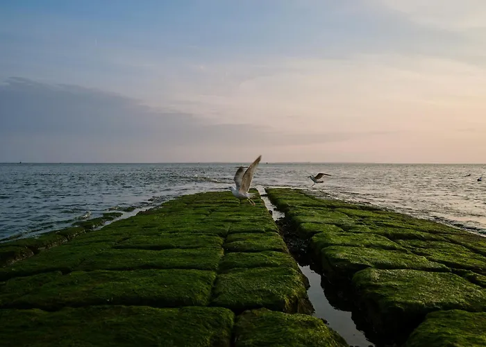 Отель 1884 Нордерней